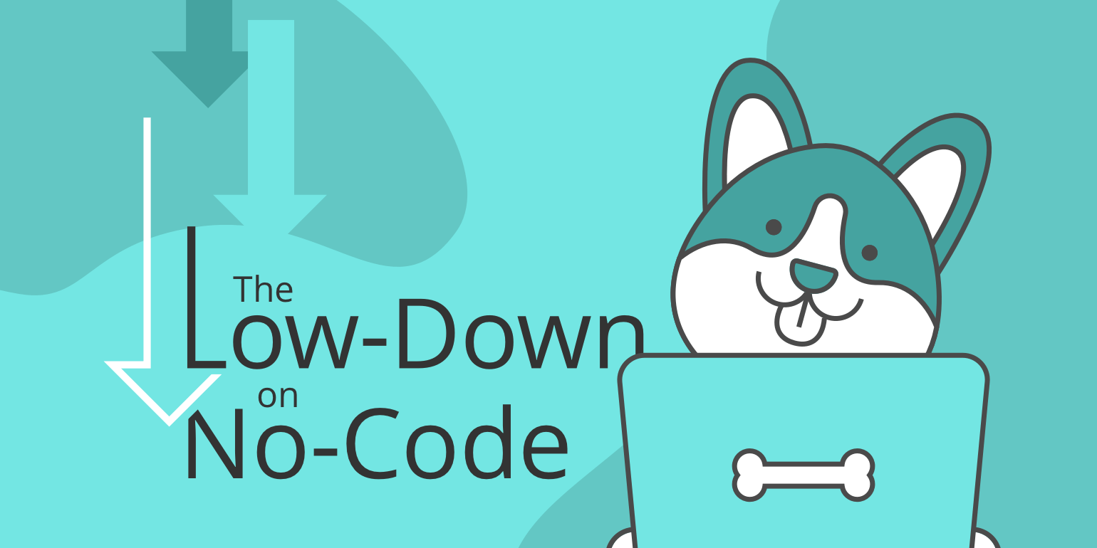 The Low-Down on No-Code